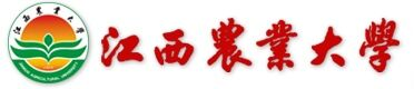 懂球体育